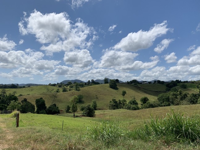 CATTLE GRAZING PROPERTY