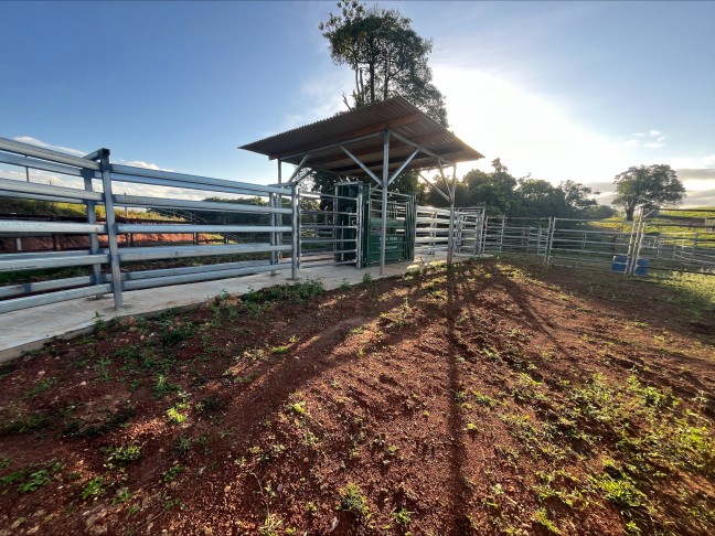 PRIME CATTLE FATTENING BLOCK - 61.55 ACRES