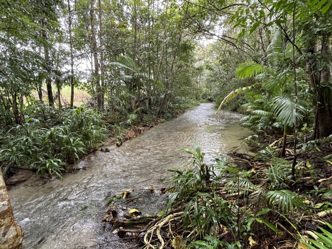 HERE IT IS ..... THE ULTIMATE BABINDA PROPERTY