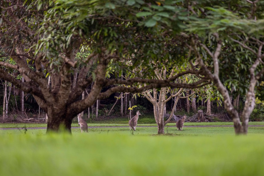 16 Gallaghers Road, Tanawha > RE/MAX Property Sales