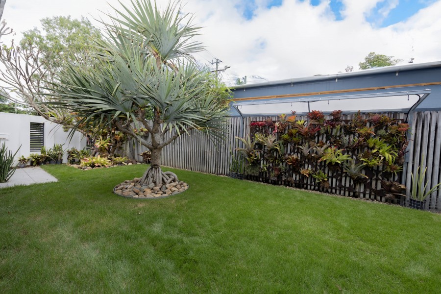 Real Estate in Eimeo