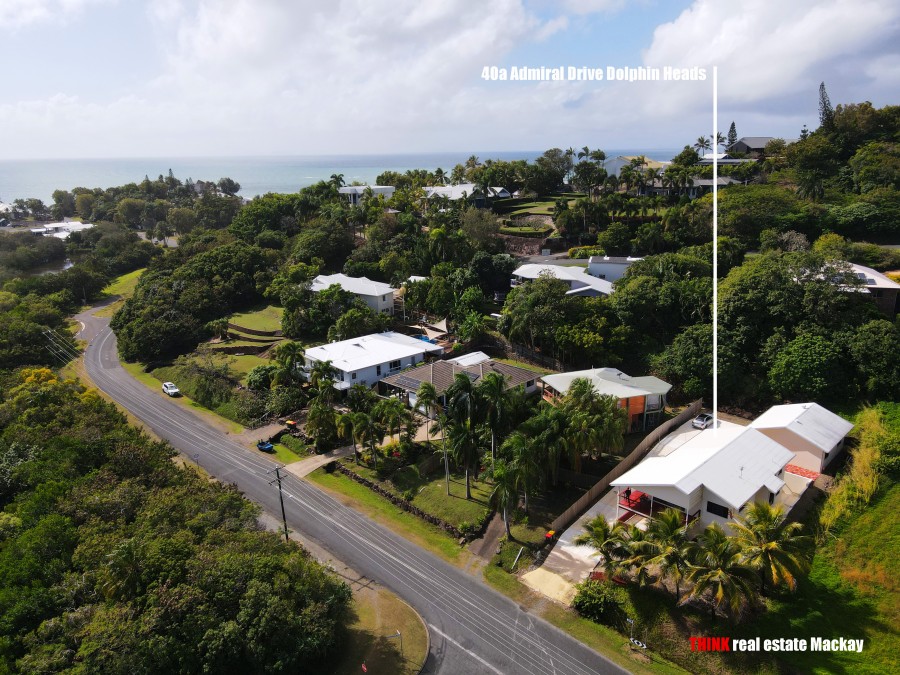 Real Estate in Dolphin Heads