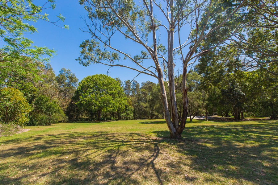 Real Estate in Sunnybank