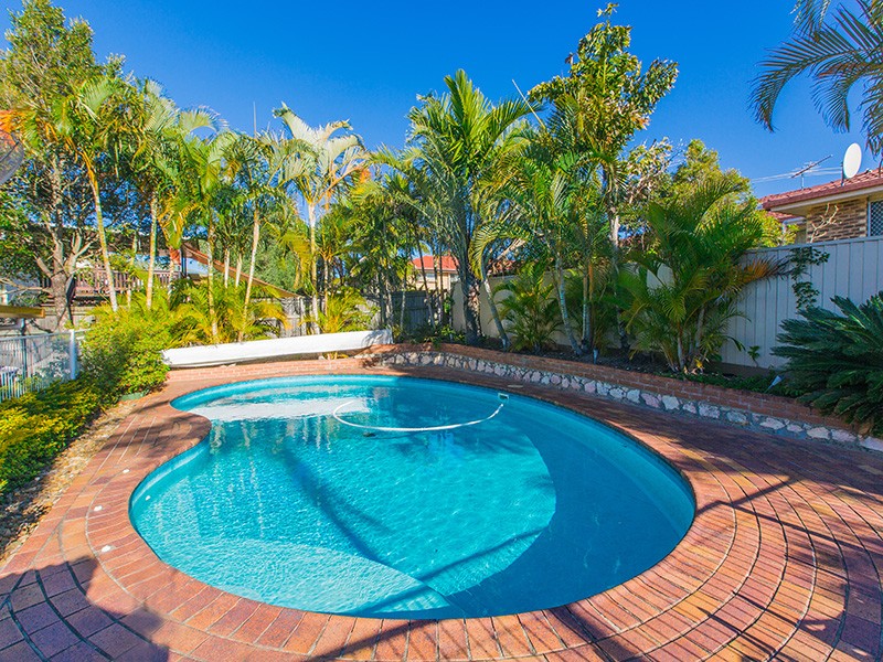 Real Estate in Sunnybank Hills