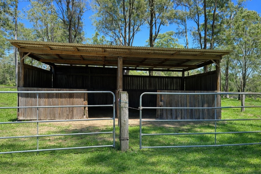 Real Estate in Jimboomba