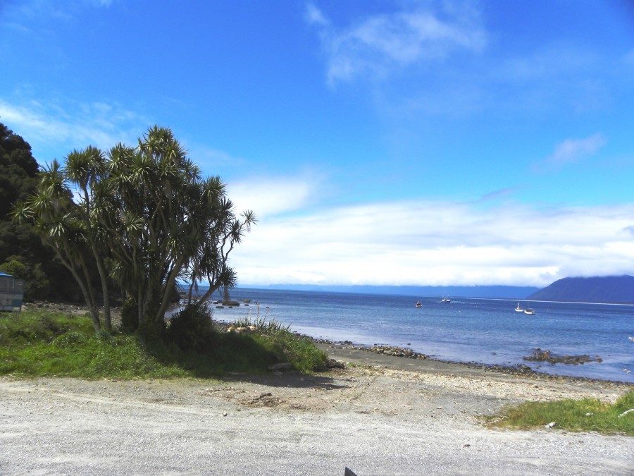 Real Estate in Haast