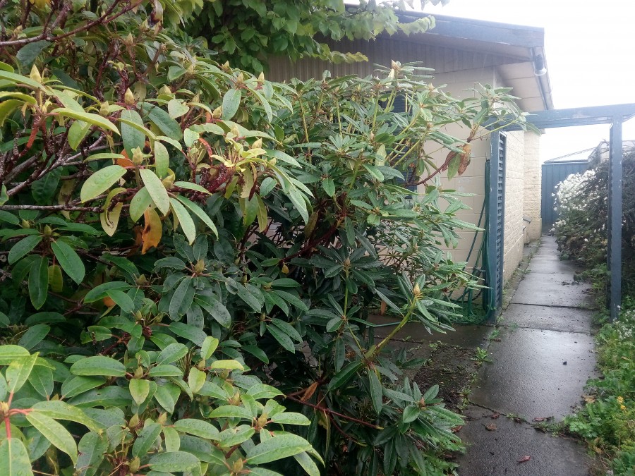 Waikiwi Properties Sold