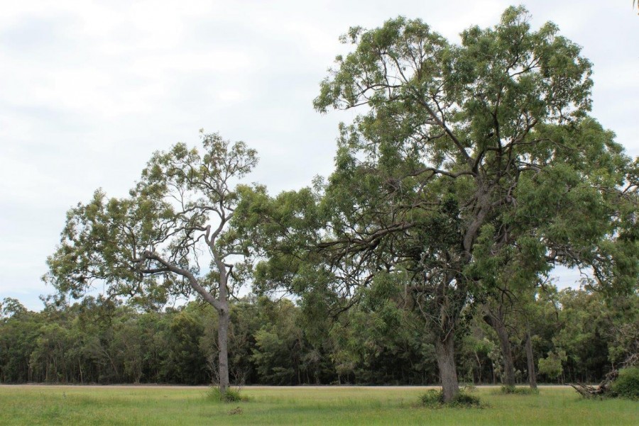 Real Estate in Rules Beach