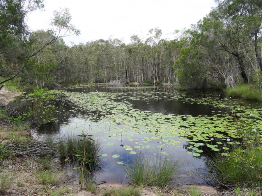 Real Estate in Rules Beach