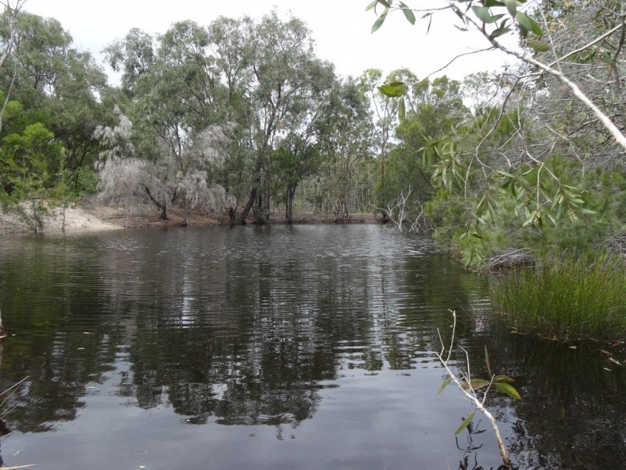 Real Estate in Rules Beach