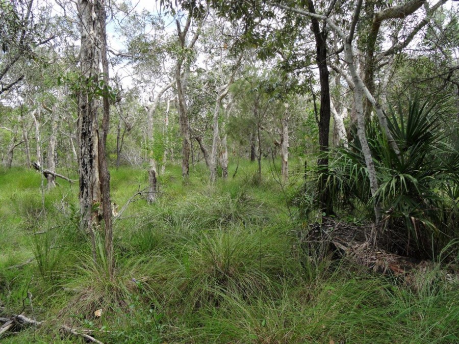 Real Estate in Rules Beach