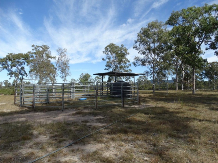 Real Estate in Watalgan