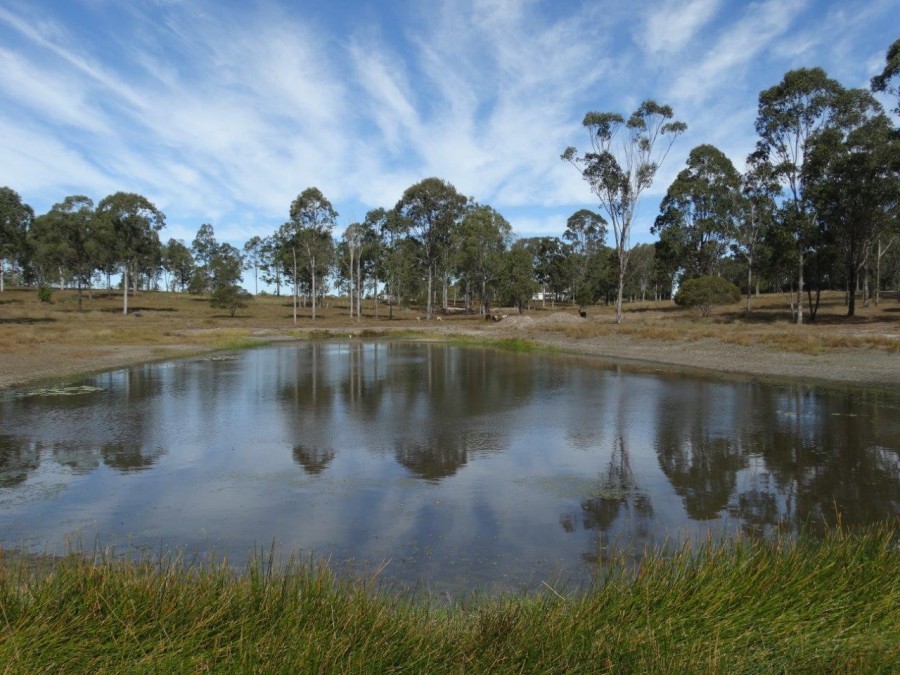 Watalgan Properties Sold