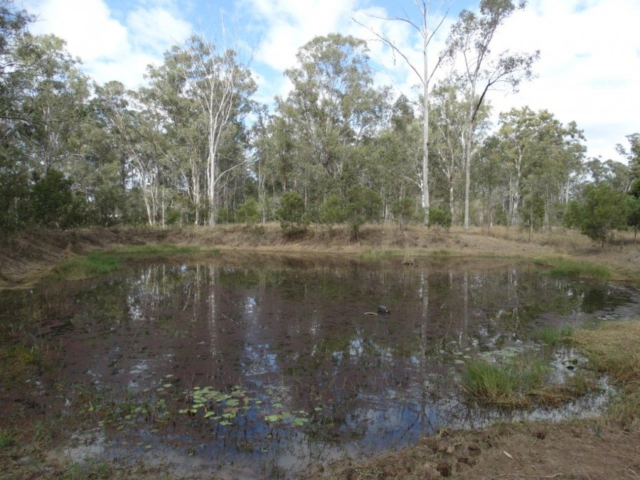 Real Estate in Bucca