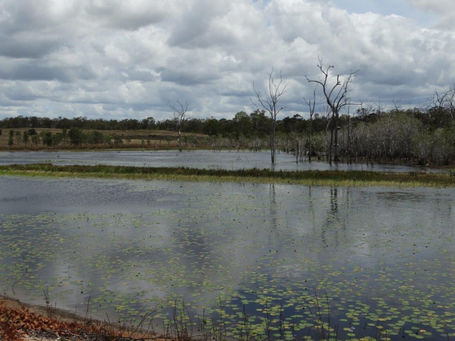 Real Estate in Watalgan