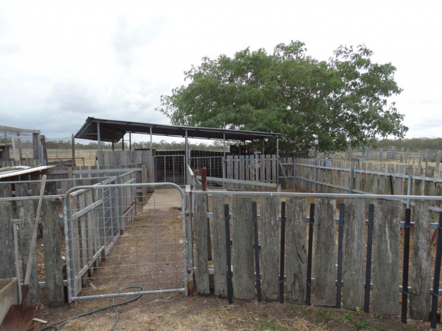 Real Estate in Watalgan