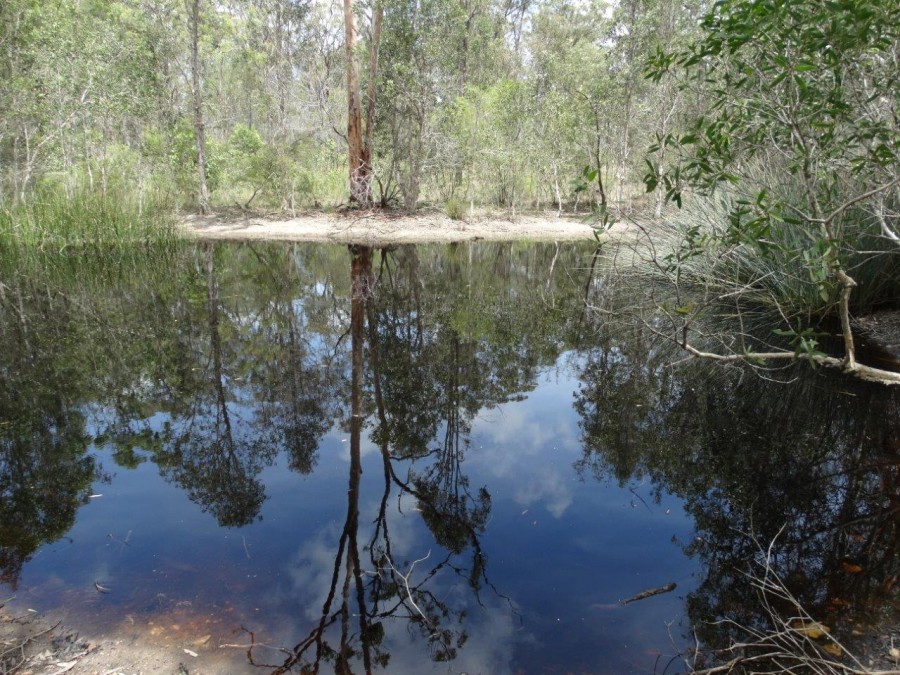 Real Estate in Watalgan