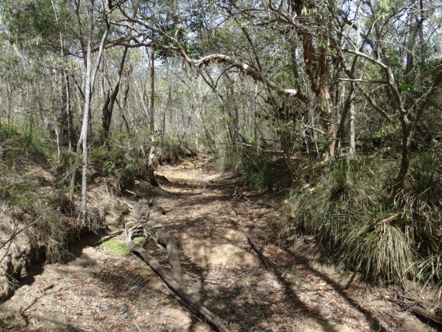 Real Estate in Watalgan