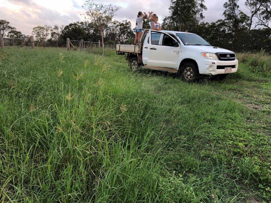 Real Estate in Watalgan