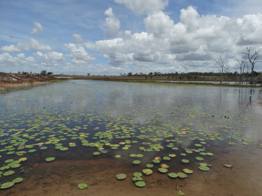 Watalgan real estate Sold