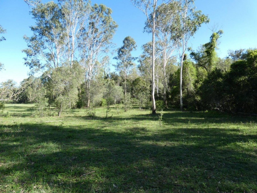 Real Estate in Berajondo