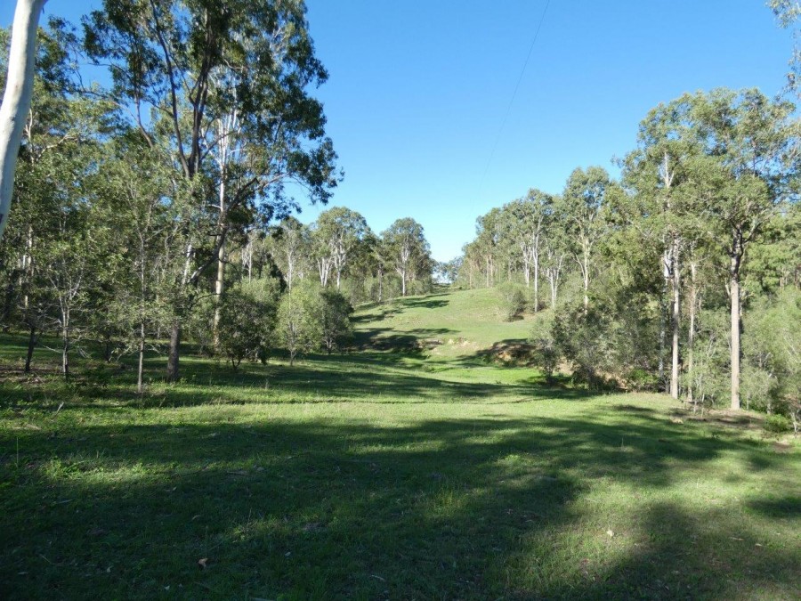 Real Estate in Berajondo