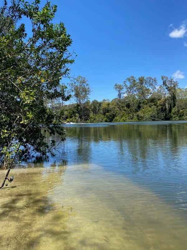 Real Estate in Oyster Creek