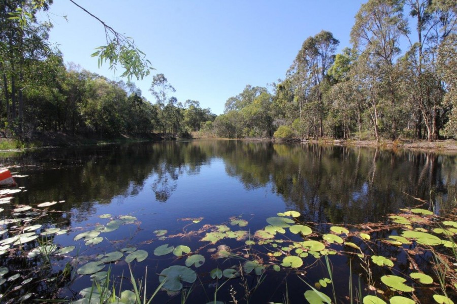 Real Estate in Baffle Creek