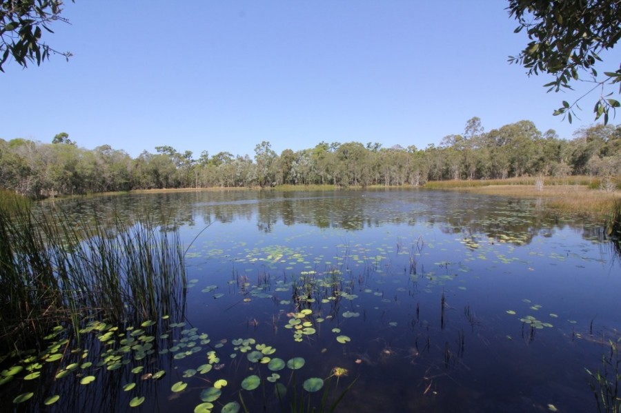 Deepwater real estate For Sale
