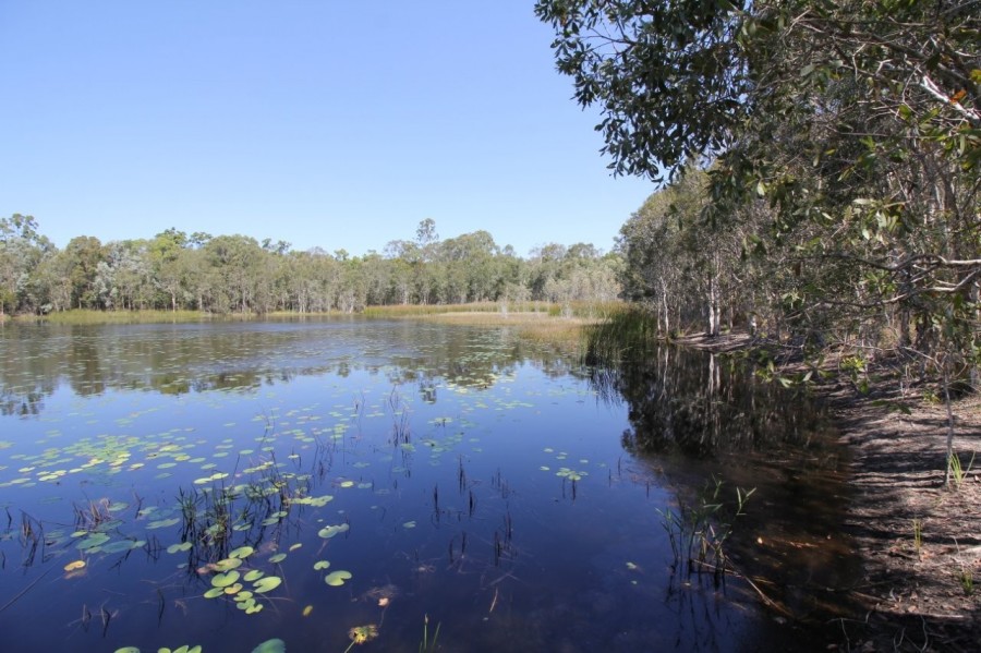 Real Estate in Deepwater