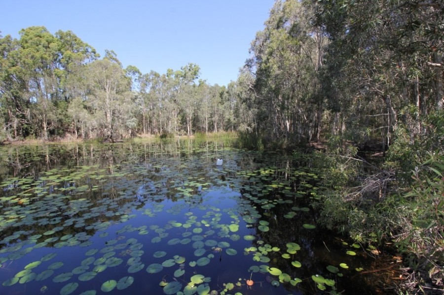 Real Estate in Deepwater