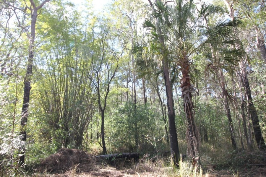 Real Estate in Mount Maria