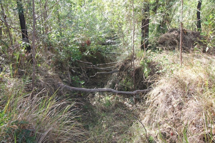 Real Estate in Mount Maria