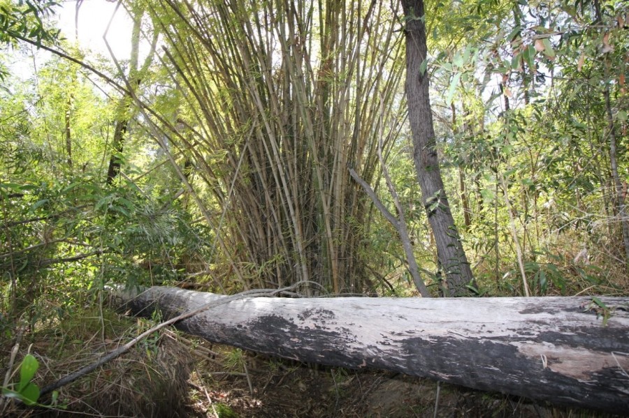 Real Estate in Mount Maria