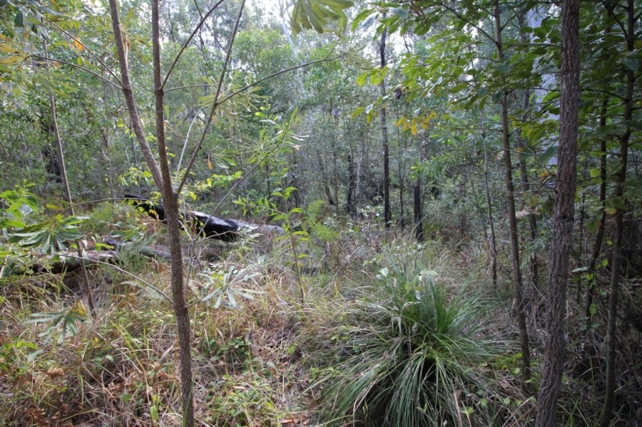 Real Estate in Mount Maria