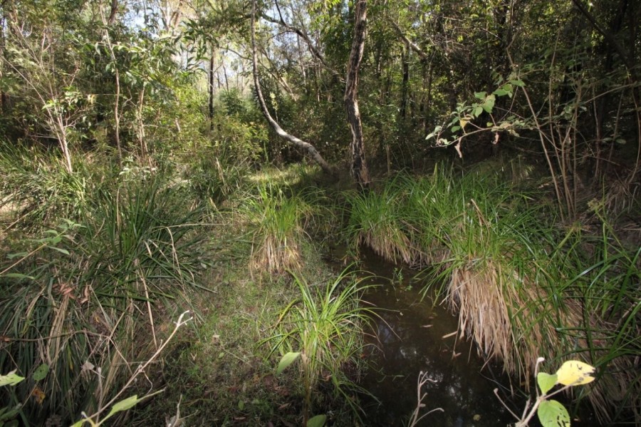 Real Estate in Mount Maria