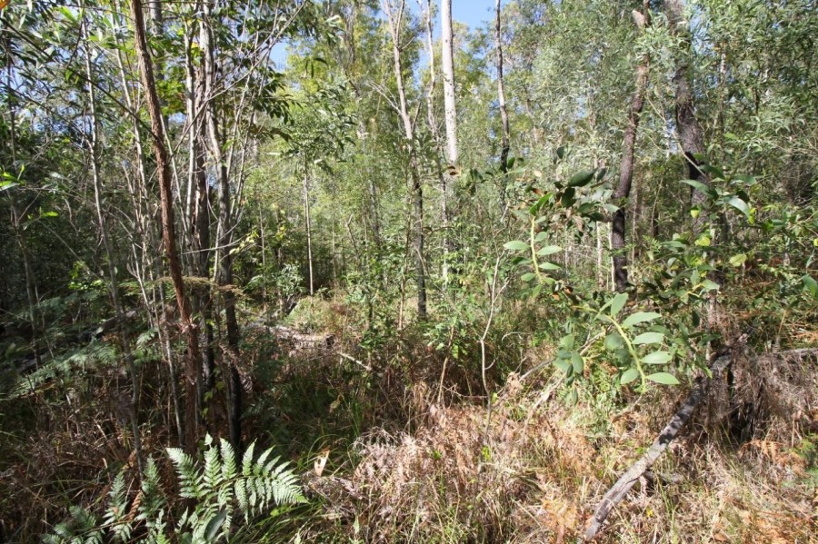 Real Estate in Mount Maria