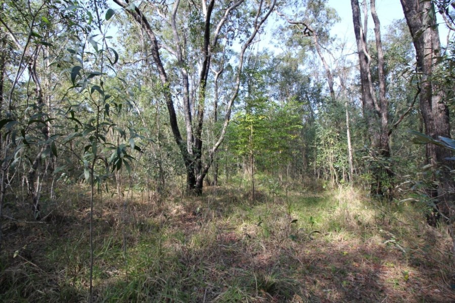 Selling your property in Mount Maria