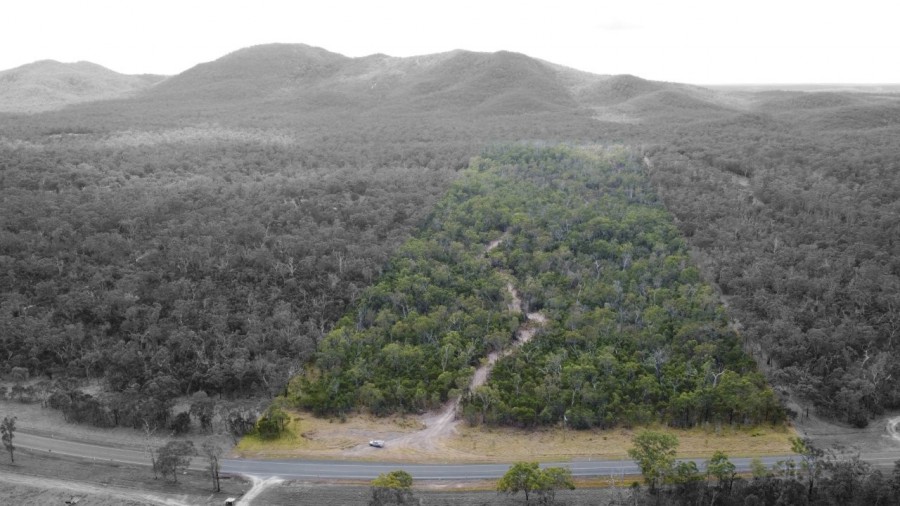 Real Estate in Mount Maria