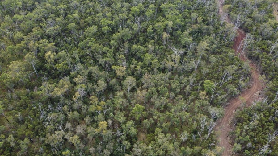 Real Estate in Mount Maria