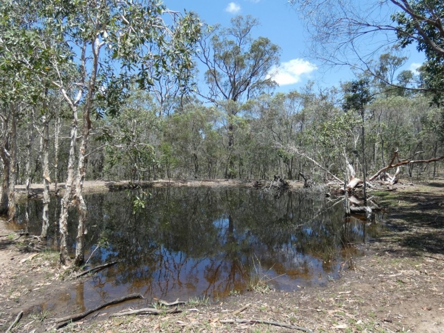 Real Estate in Watalgan