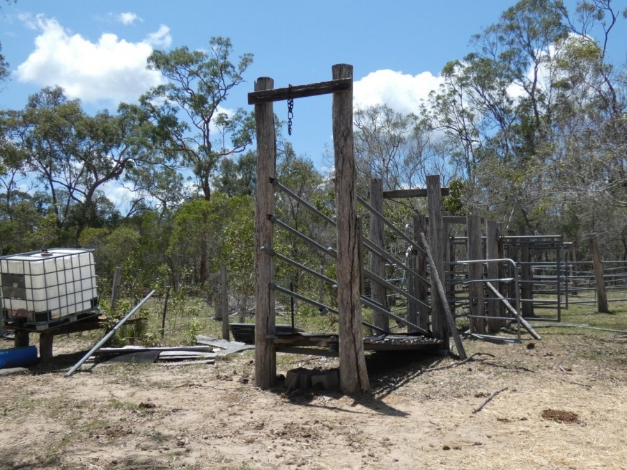 Real Estate in Watalgan