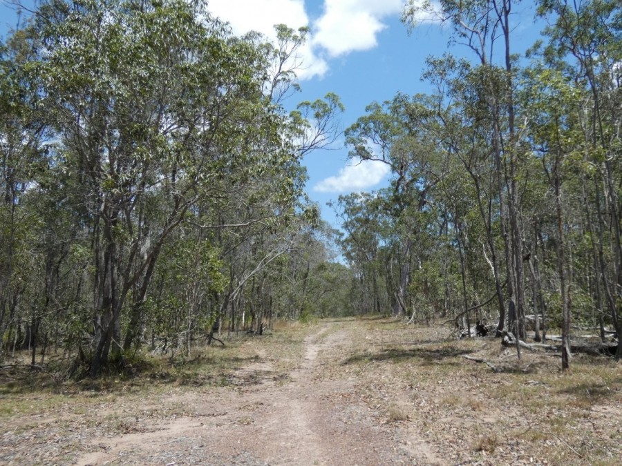 Real Estate in Watalgan