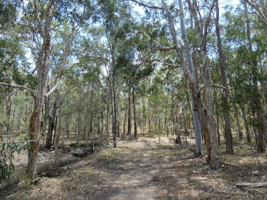 Real Estate in Watalgan