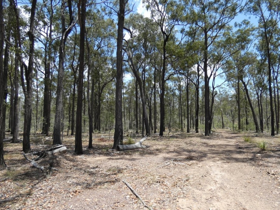 Real Estate in Watalgan