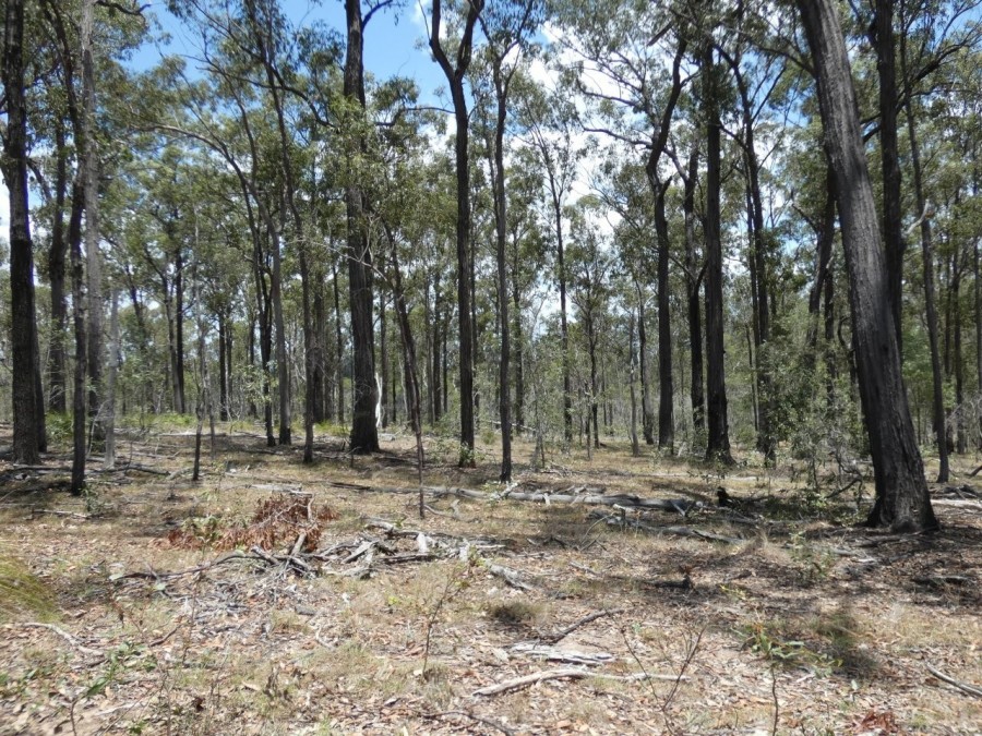 Real Estate in Watalgan