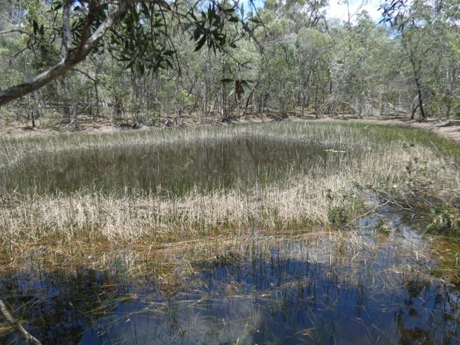 Real Estate in Watalgan