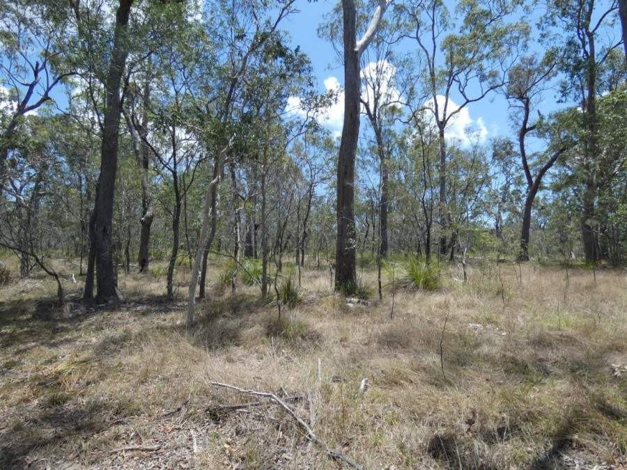 Real Estate in Watalgan