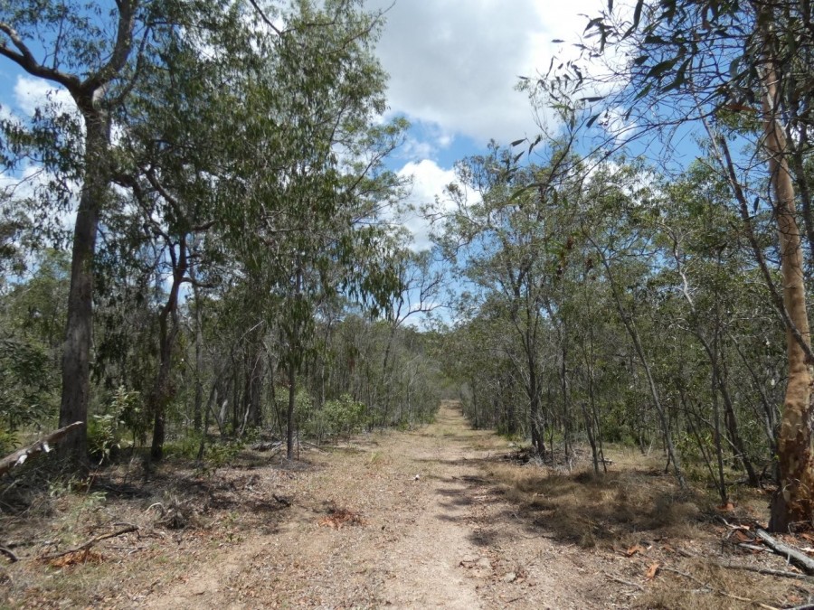 Real Estate in Watalgan