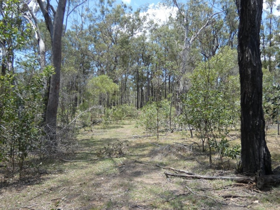 Real Estate in Watalgan